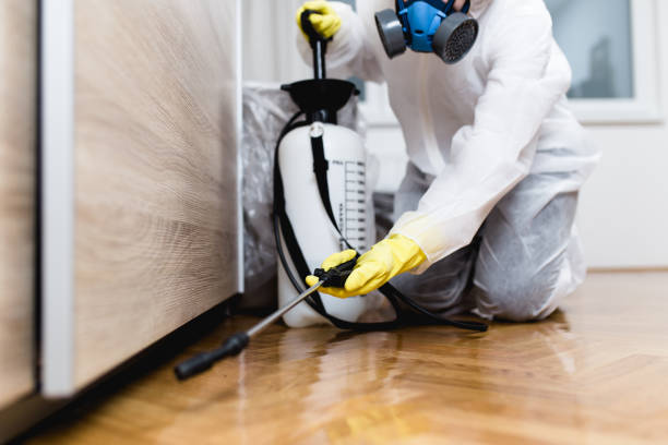 Best Wildlife Control Services  in De Kal, TX