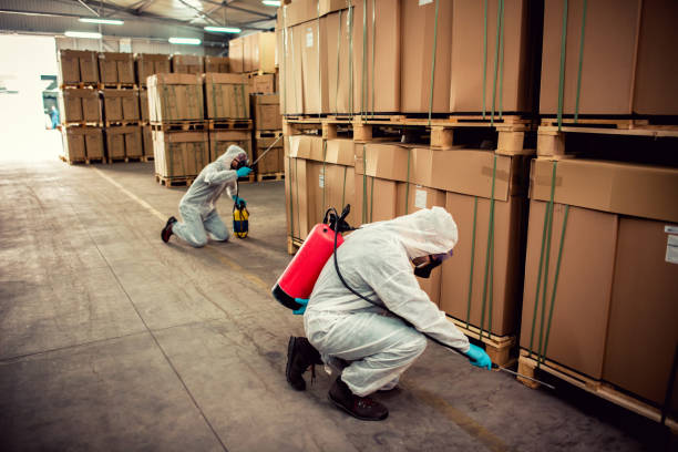 Best Cockroach Control Services  in De Kal, TX
