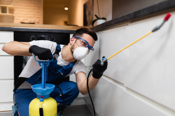 Best Wildlife Control Services  in De Kal, TX