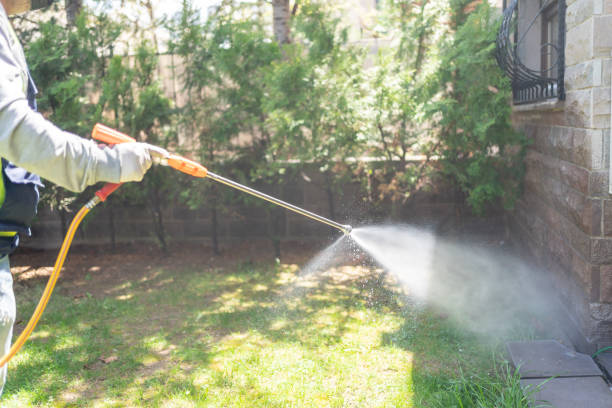 Best Mosquito Control Services  in De Kal, TX