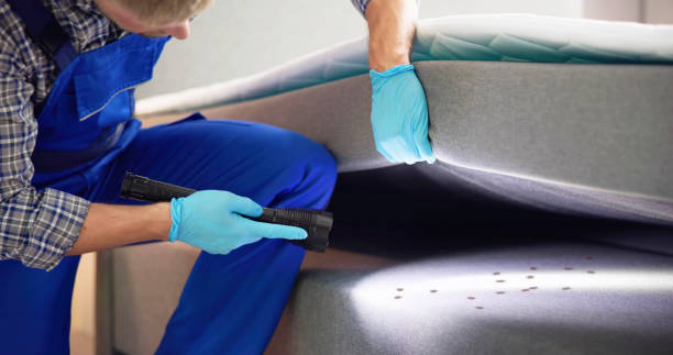Best Pest Removal Services  in De Kal, TX