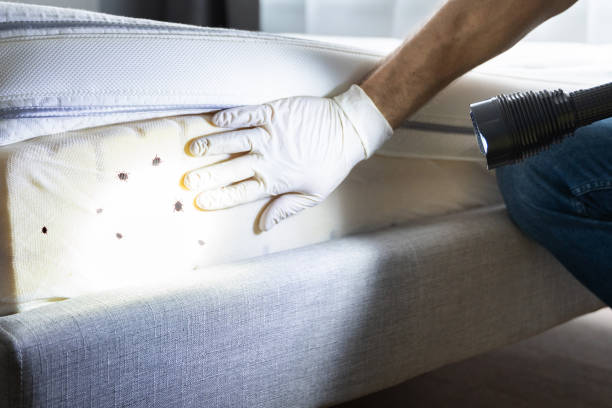 Best Best Pest Control Companies  in De Kal, TX