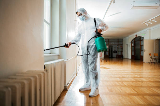 Best Flea Control Services  in De Kal, TX