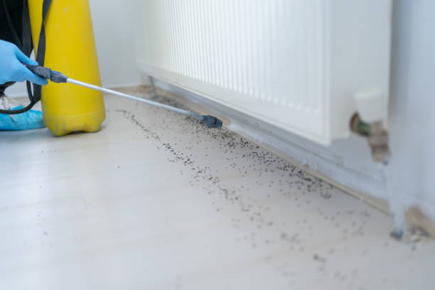 Best Cockroach Control Services  in De Kal, TX