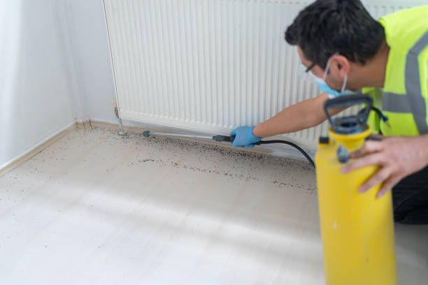 Best Commercial Pest Control Services  in De Kal, TX