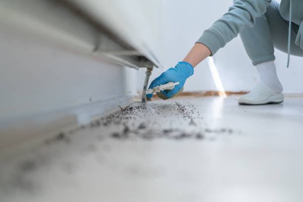 Best Residential Pest Control  in De Kal, TX